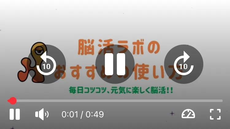 動画の再生画面