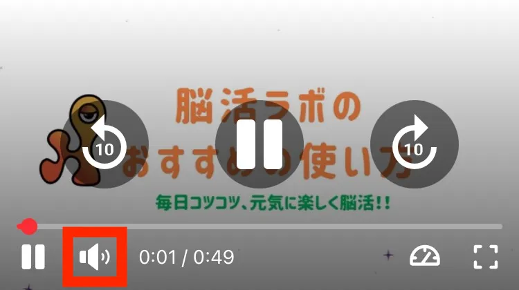 動画の再生画面