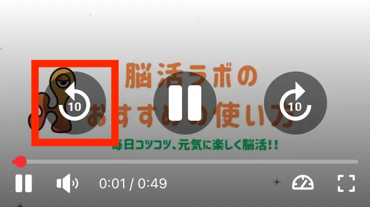 動画の再生画面