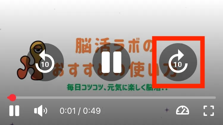 動画の再生画面